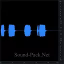 Свисток полицейского