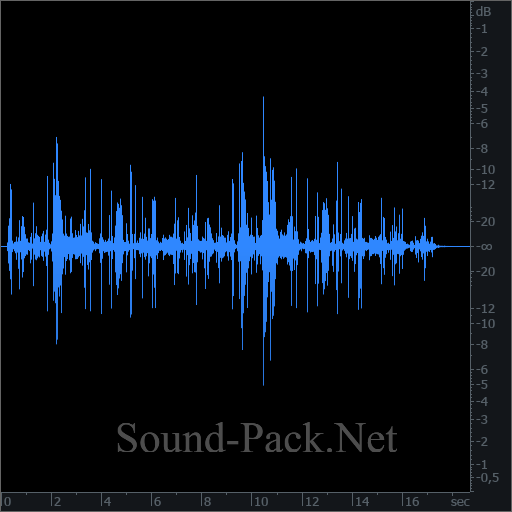 waveform