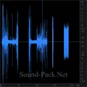 Шипение рации, щелчки