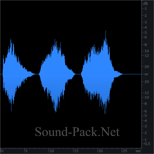 waveform