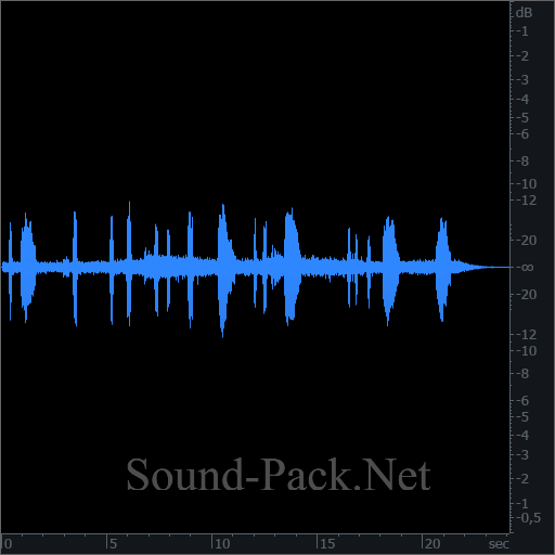 waveform