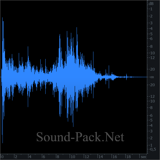 waveform