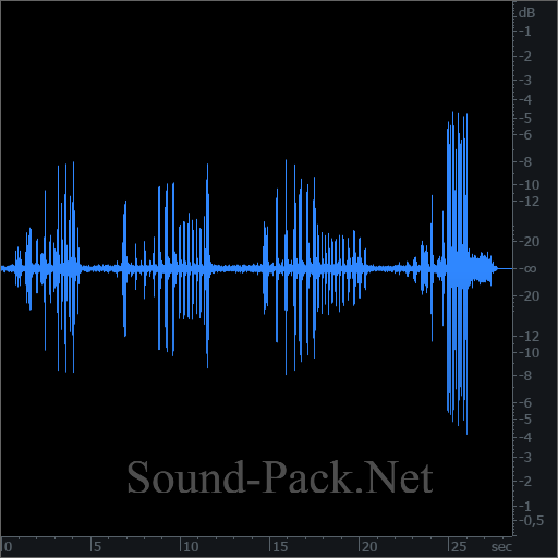 waveform