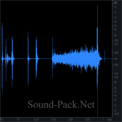 waveform