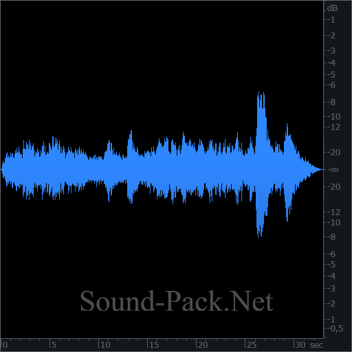 waveform