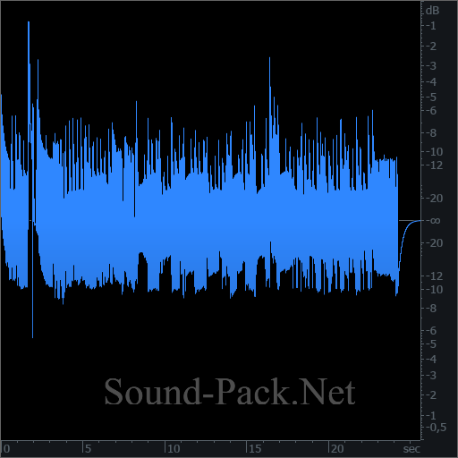 waveform