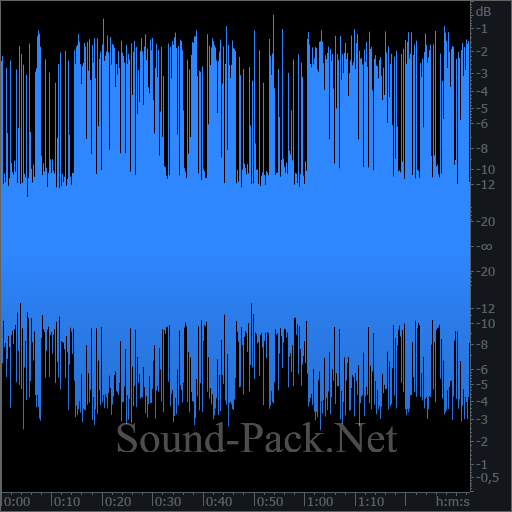 waveform