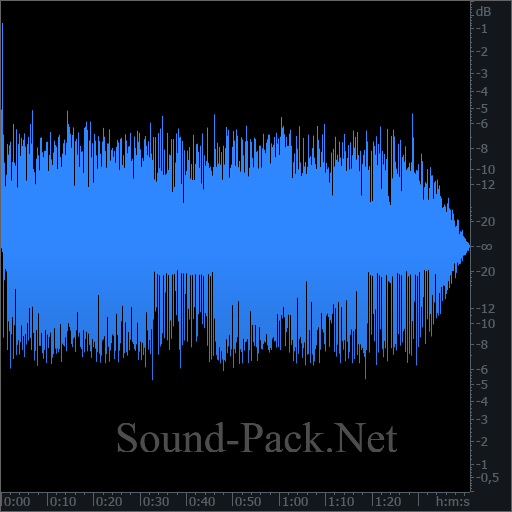 waveform