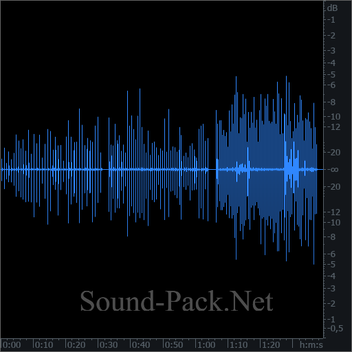 waveform