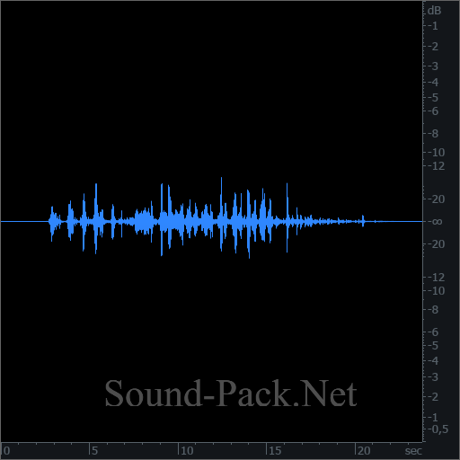 waveform