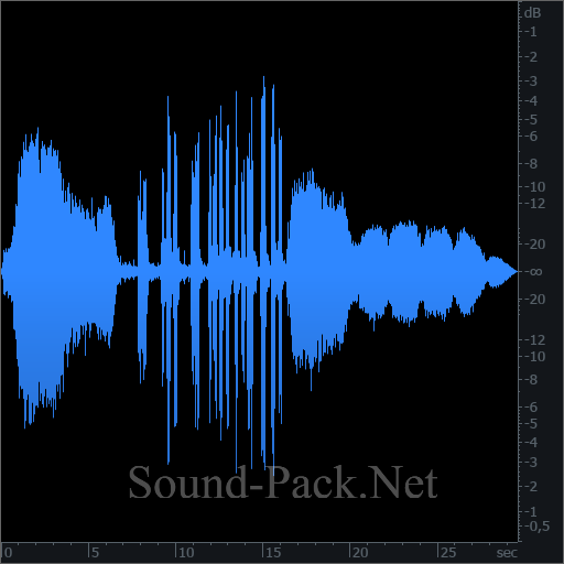 waveform