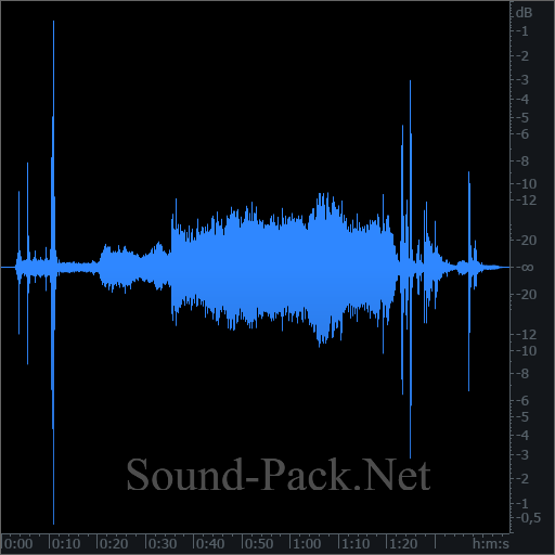 waveform