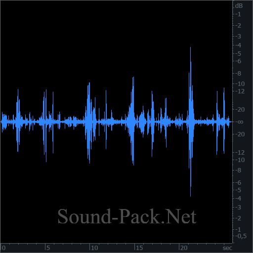 waveform