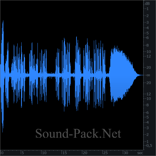 waveform