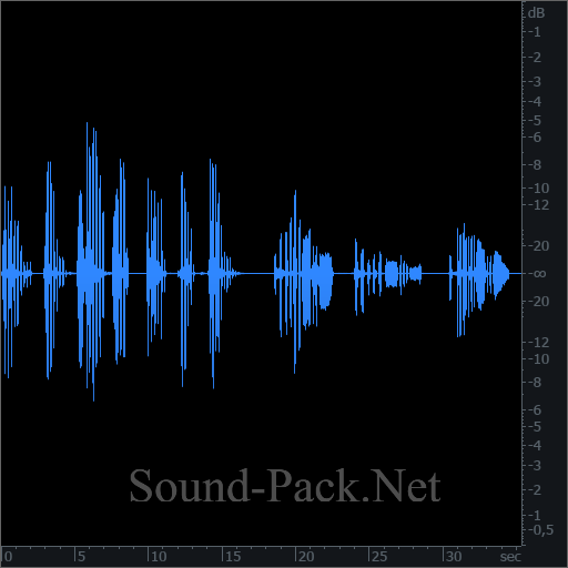 waveform