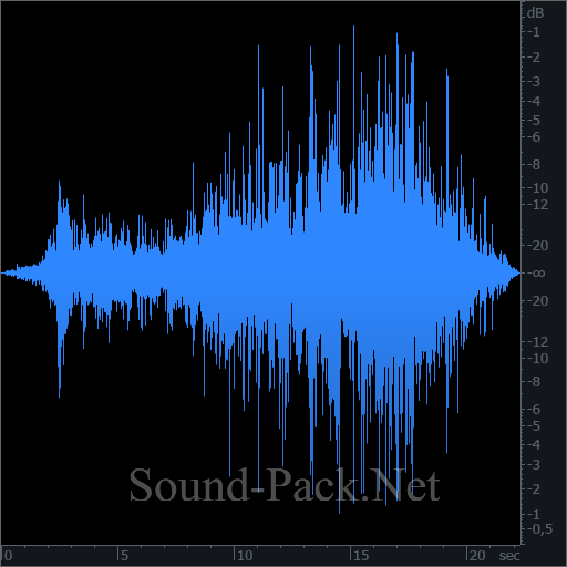 waveform