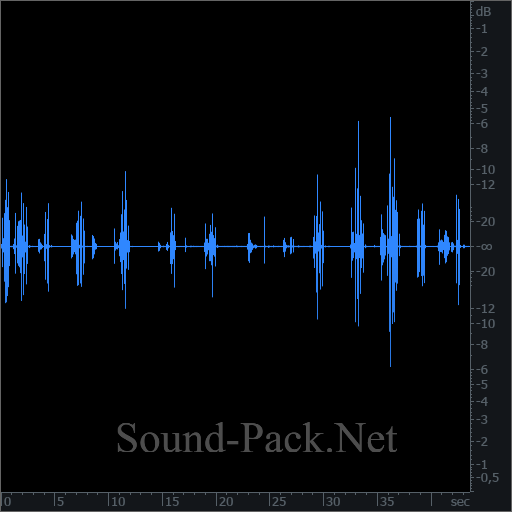 waveform