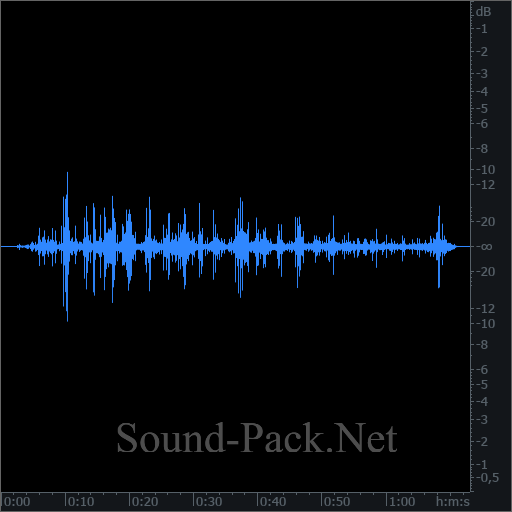 waveform