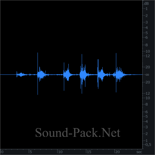 waveform