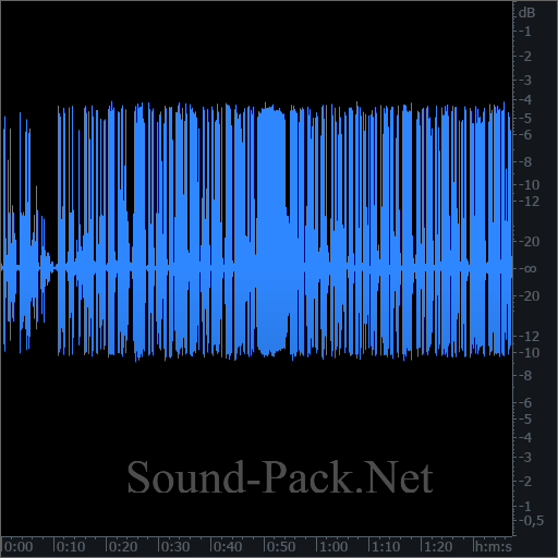 waveform