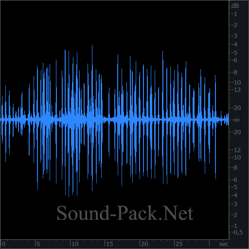 waveform