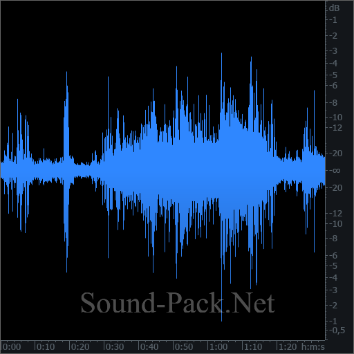 waveform