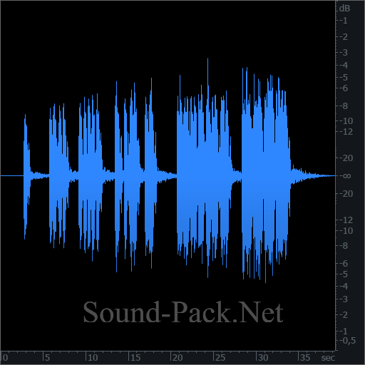 waveform