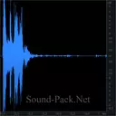 Шум разбившейся тарелки