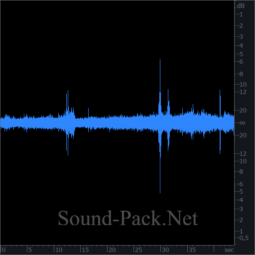 waveform