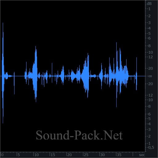 waveform