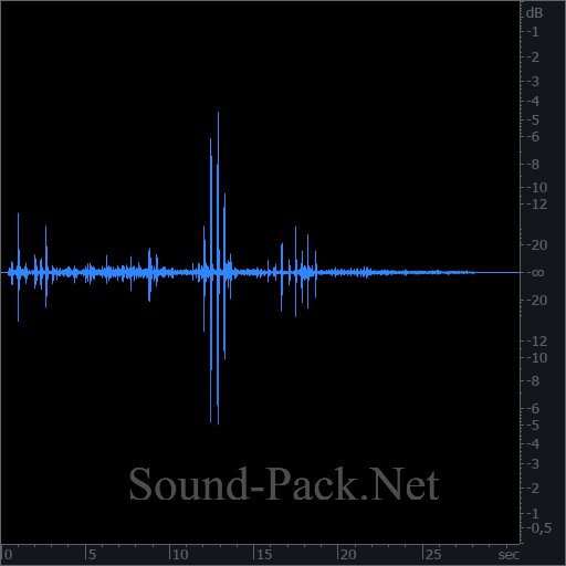 waveform