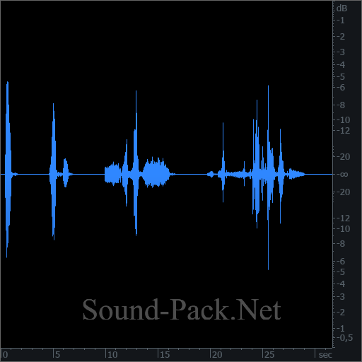 waveform