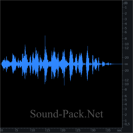 waveform