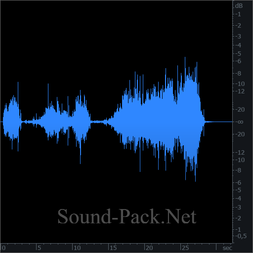 waveform