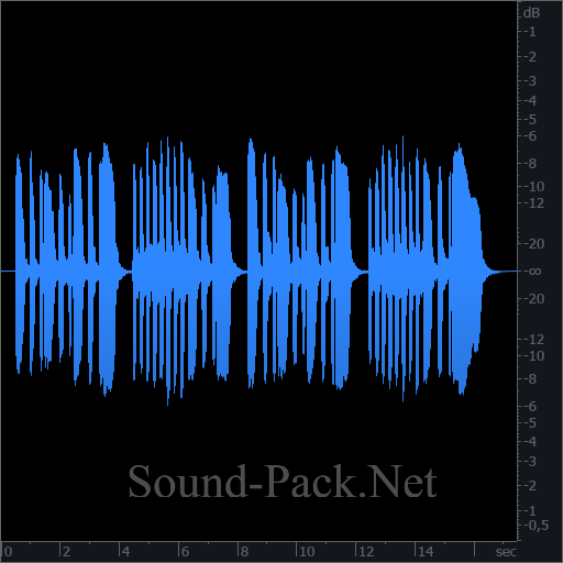 waveform