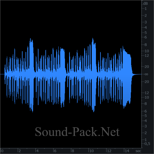 waveform