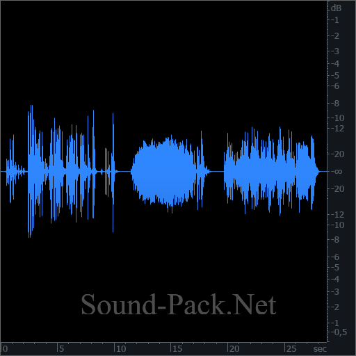 waveform