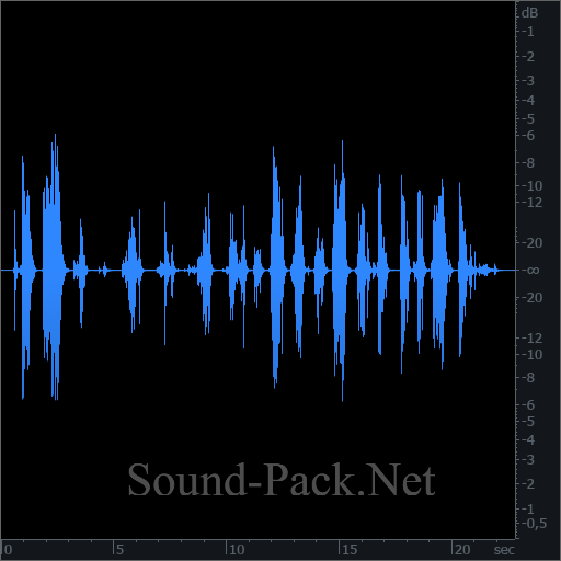 waveform