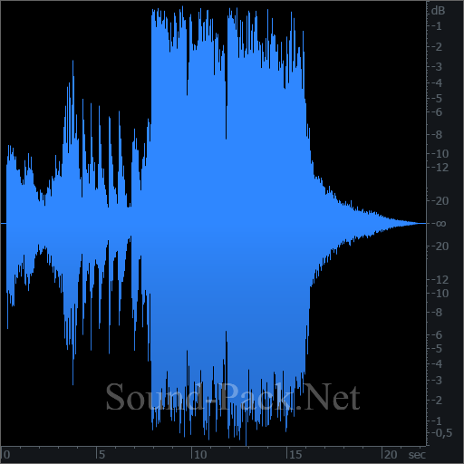 waveform