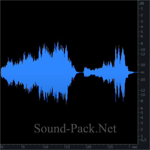 waveform