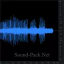 Много чирикающих птиц, сверчки, атмосфера леса