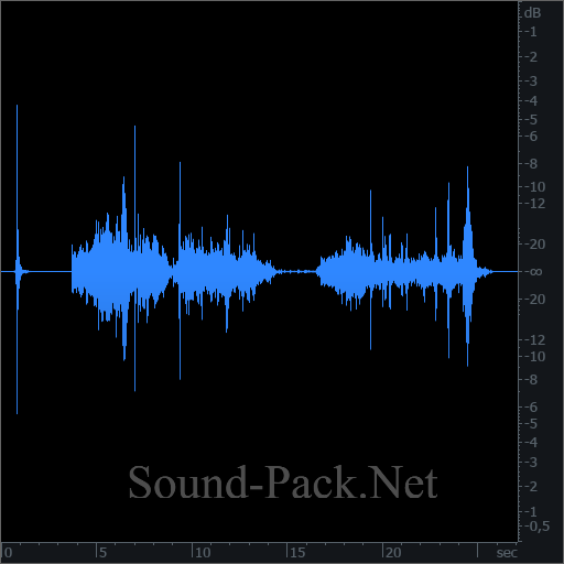 waveform